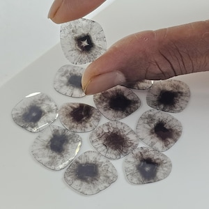 20.35CT (12pcs), 19.50x17.50x0.50 MM (avg size), Natural Salt And Pepper Slice Rare Diamond, Middle spot diamond, Necklace Layout Jewelry.
