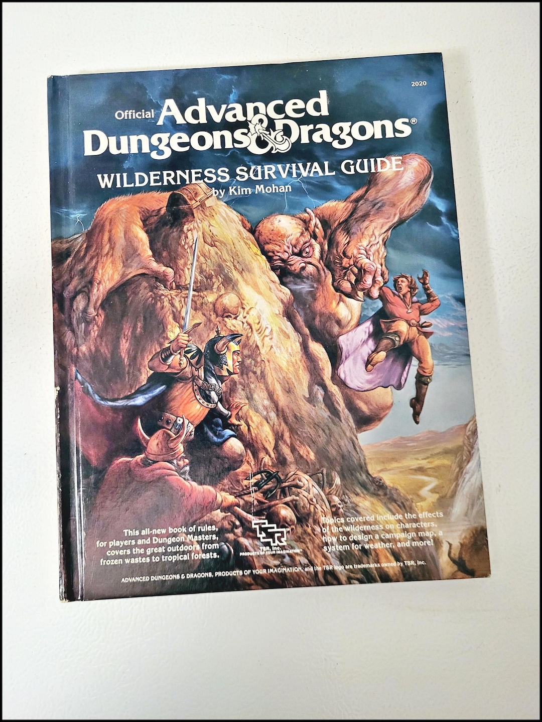 Dungeons & Dragons - Wilderness Survival Guide - 1986 - 2nd VG+ - Etsy