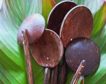 Sri Lankan Handmade Coconut Shell Spoon