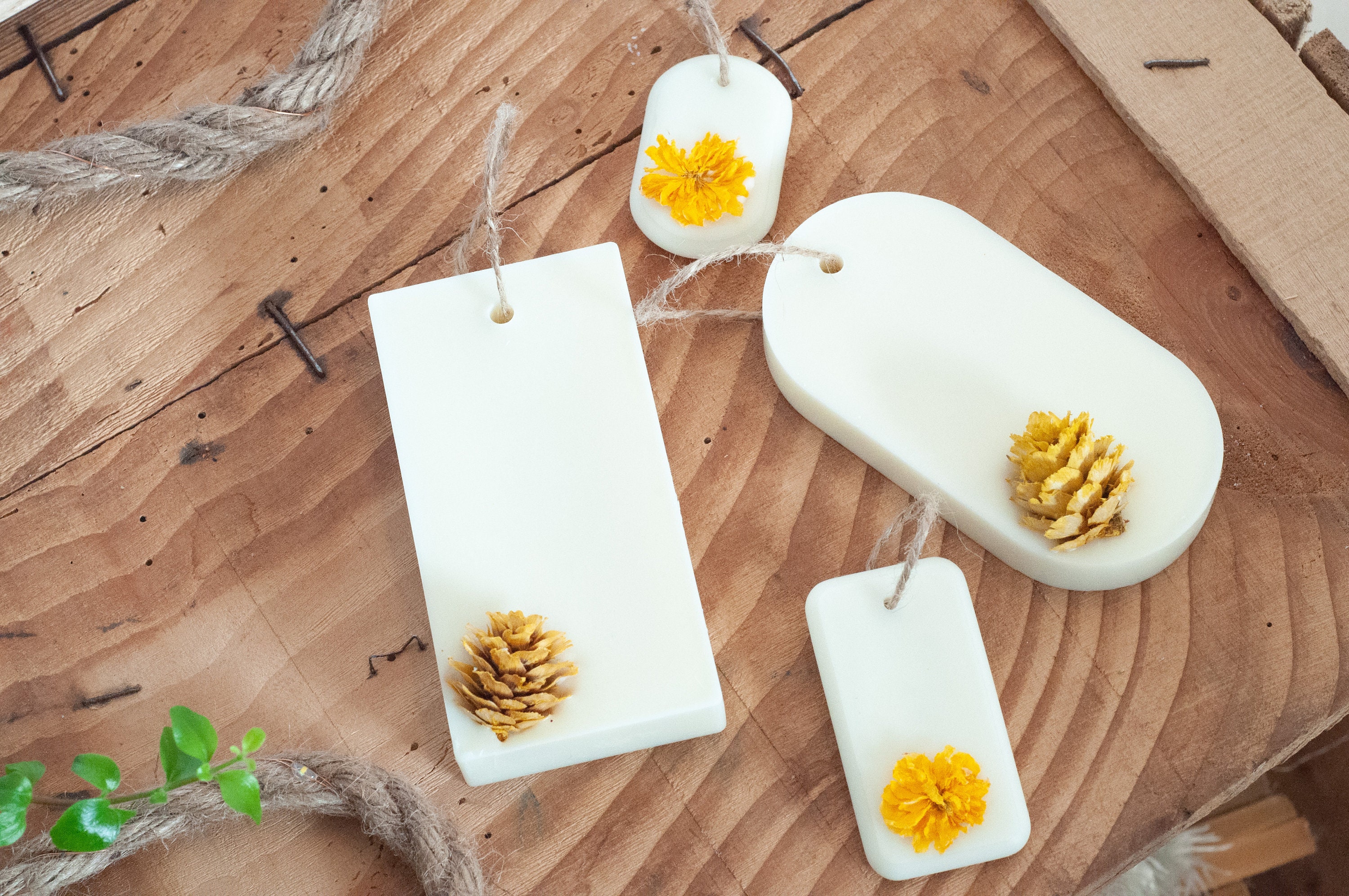 Monoï I Tablette de Cire Parfumée Suspension Parfumée