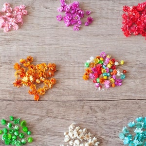 May include: Assortment of dried flowers in various colors, including pink, red, orange, yellow, green, white, and blue. The flowers are arranged in a scattered pattern on a wooden surface.
