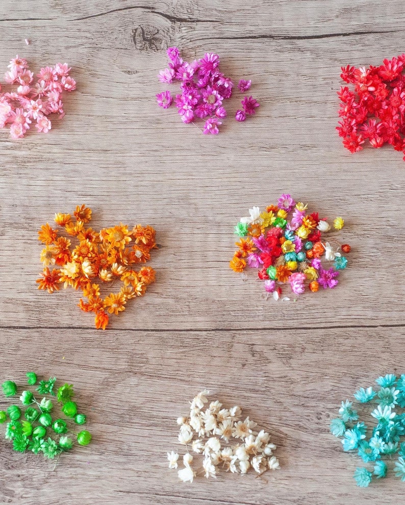 May include: Assortment of dried flowers in various colors, including pink, red, orange, yellow, green, white, and blue. The flowers are arranged in a scattered pattern on a wooden surface.