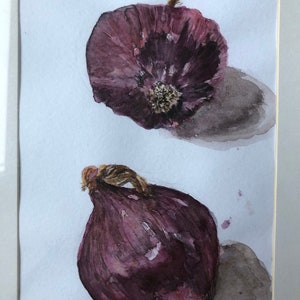 Zwiebel Aquarell botanische Illustration gerahmt