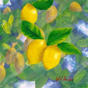 Florida Lemons 1 Oil Painting 11”x14” Limited Edition Signed Print (White Border)