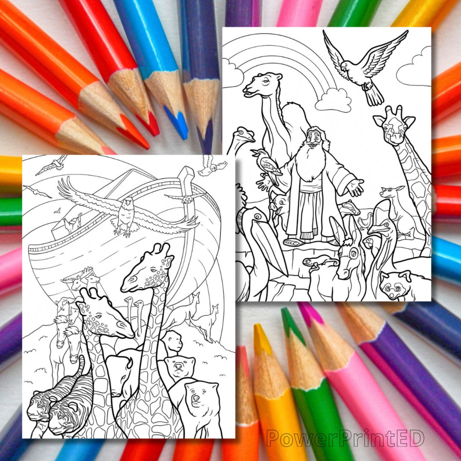 20 NOAH'S ARK Coloring Pages/ Kid Coloring Pages/ Printable Coloring