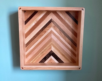 Vinyl Record Dispay Shelf