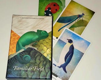 May include: A box of Familiar Field Oracle cards with a chameleon on the front. The box is green, orange, and brown. The cards are spread out on a white surface. The cards feature a ladybug, a dragonfly, and a penguin.