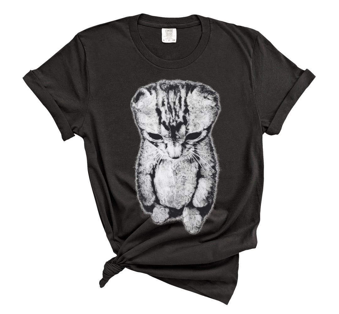 Sad Kitten Meme Standing Cat T-shirt, Cute Cat Graphic Tee, Cat Lover ...