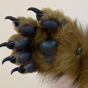May include: Close-up of a brown and black furry paw with black claws. The paw has five toes with black pads.