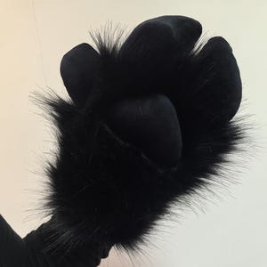 May include: Black furry paw with black felt pads. The paw is attached to a black furry arm.