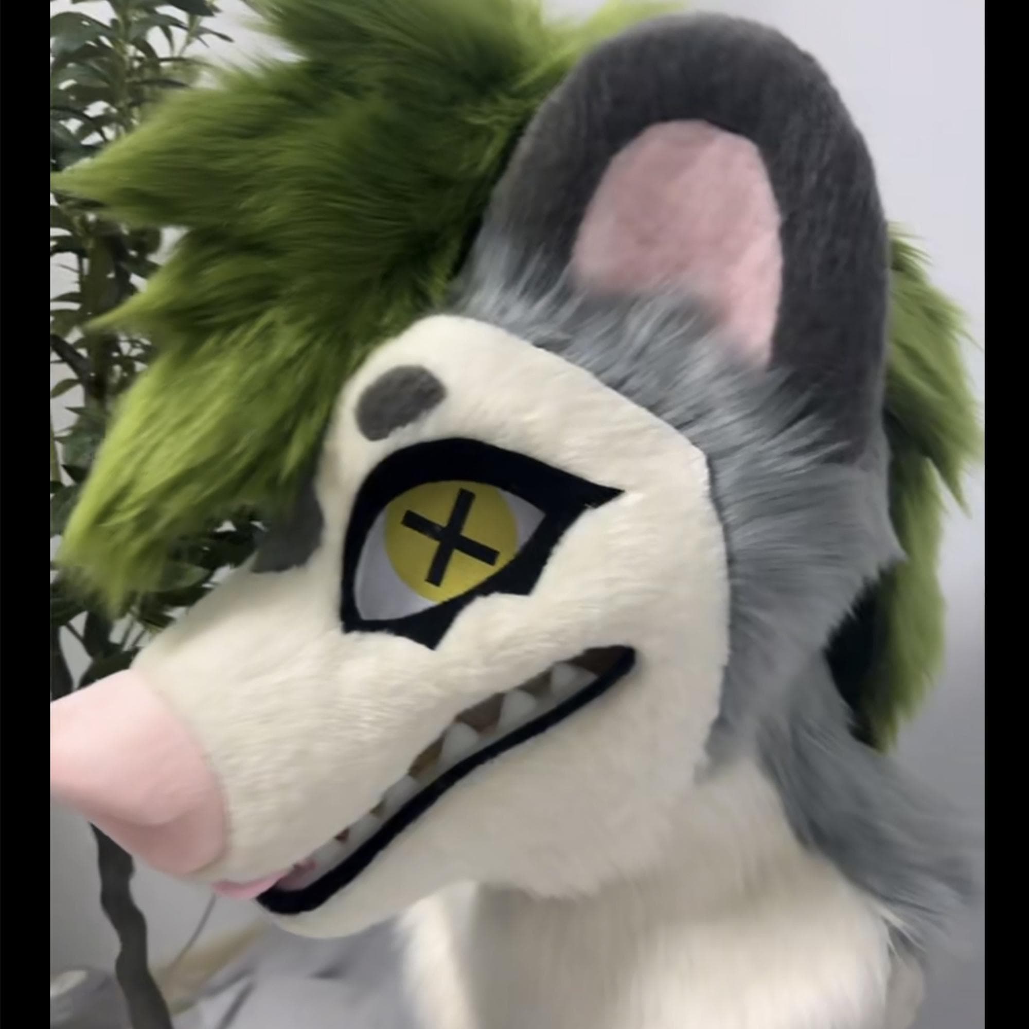 Premade Manokit Fursuit - Etsy