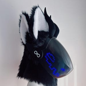 May include: A black and white furry mask with large ears and a visor. The visor displays a blue pixelated design. An infinity symbol is on the side of the mask.