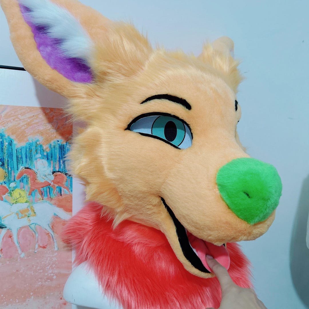 Toony Fursuit - Accept Custom Orders for Your Design - Commission Open ...