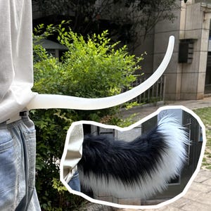 May include: A long, smooth, white, curved tail attachment worn at the waist, featuring a separate inset graphic showing a fluffy, long-haired tail with a black base that transitions into a white tip, attached to a white shirt and blue jeans.
