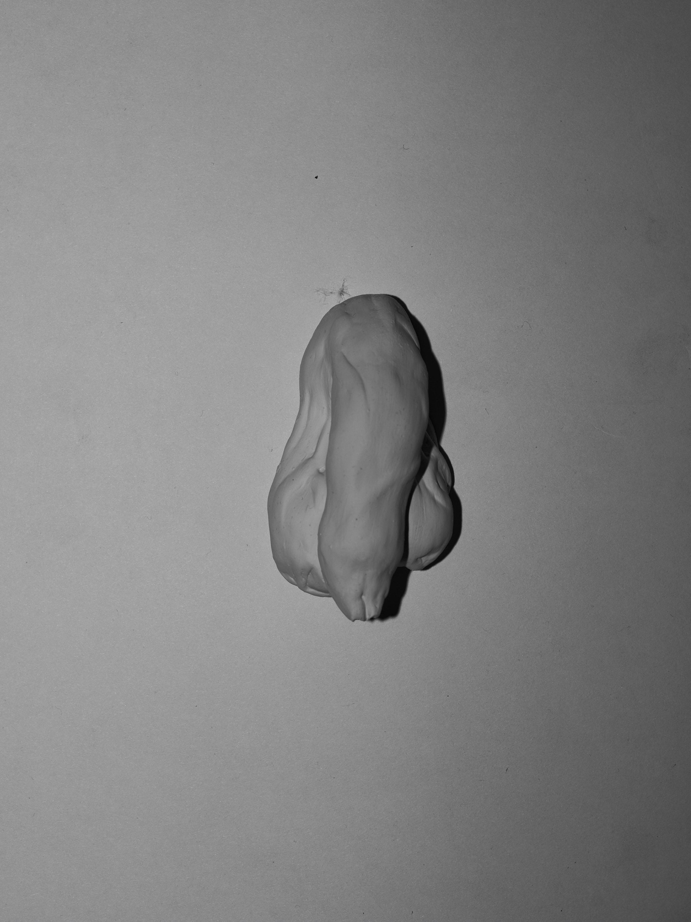 Penis Size