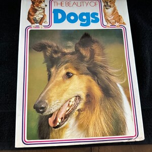 Vintage 1972 The Beauty of Dogs von: Kenneth Bailey HC/DJ