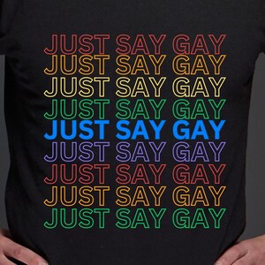 LGBT Tshirt, LGBT Shirt, Gift shirt, Rainbow shirt, lgbtqa+, Just Say Gay Tshirt, Ron DeSantis Tshirt, LGBT Rights Shirt, Free Speech Tshirt
