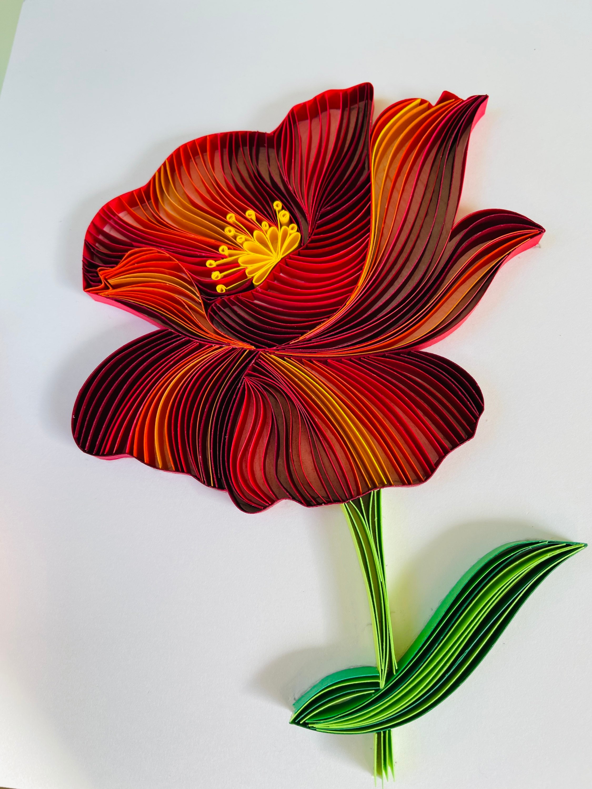 Quilling Art Poppy Flowers Handmade Paper Quilling Framed Etsy