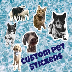 May include: Custom pet stickers featuring a black and white dog, a brown and white dog, a black and white cat, a black and white cow, a brown and white cow, and a black and brown dog. The stickers are on a blue and white background with the text "Custom Pet Stickers".