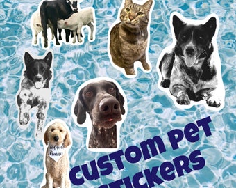 Custom Pet Photo Stickers: Dog Mom Gift, Birthday Party Decals