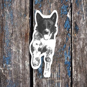 May include: Black and white dog sticker with a playful expression, printed on white paper. The sticker is placed on a weathered wooden surface.