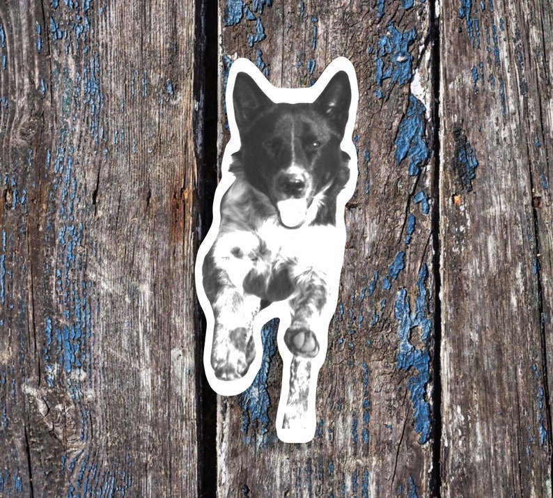May include: Black and white dog sticker with a playful expression, printed on white paper. The sticker is placed on a weathered wooden surface.