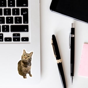 May include: A sticker of a tabby cat with brown and black stripes sitting on a white laptop. The cat is looking to the left of the image.