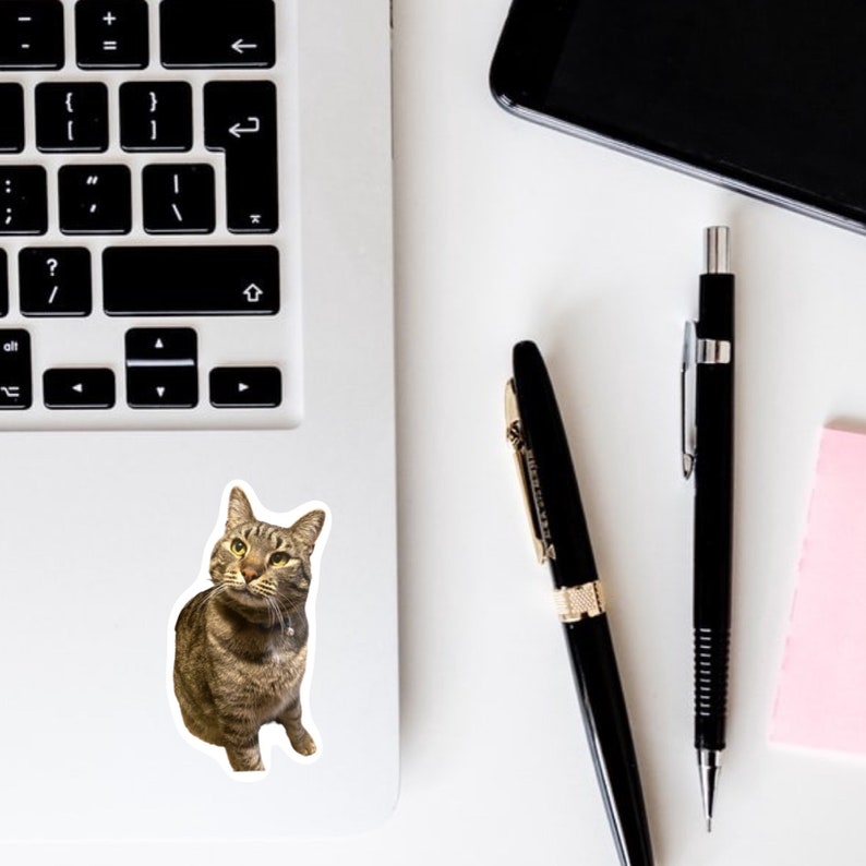May include: A sticker of a tabby cat with brown and black stripes sitting on a white laptop. The cat is looking to the left of the image.