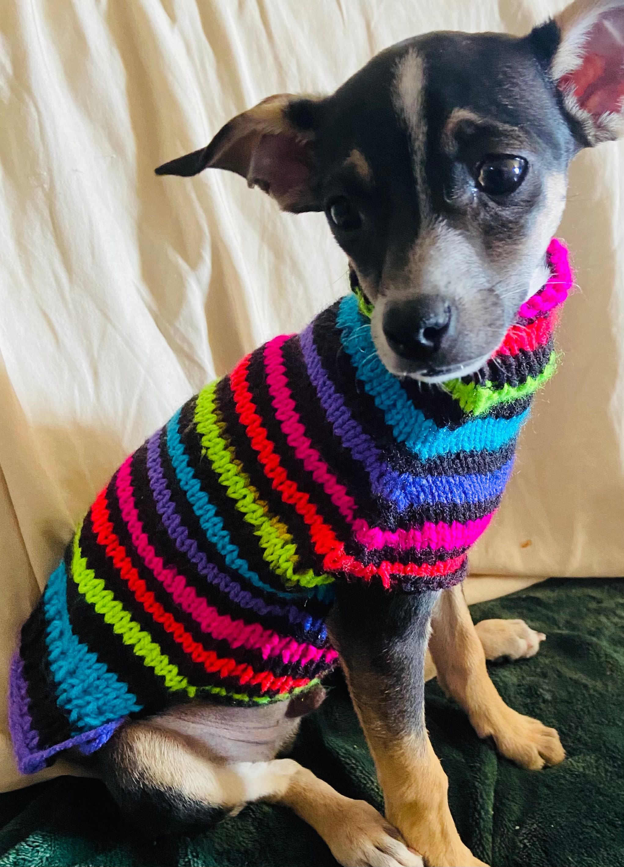 Small Dog Sweaters Knitted Rainbow and Neon Etsy