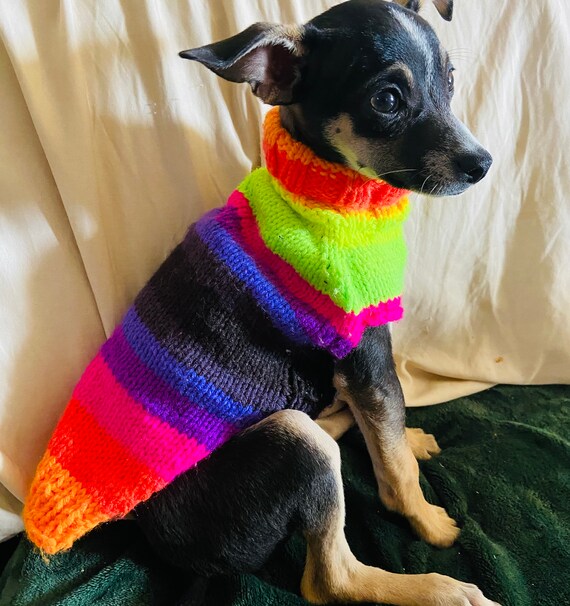 Small Dog Sweaters Knitted Rainbow and Neon Etsy