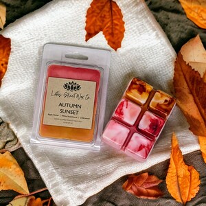May include: A clear plastic container with a wax melt inside. The wax melt is a red, orange, and yellow swirl. The container has a label that says "Lotus Street Wax Co. Autumn Sunset Apple Nectar | White Sandalwood | Cedarwood Hand Poured Soy Wax Melts 2.8 oz (80g Net Wt)"