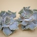 see more listings in the Leaf: Echeveria section