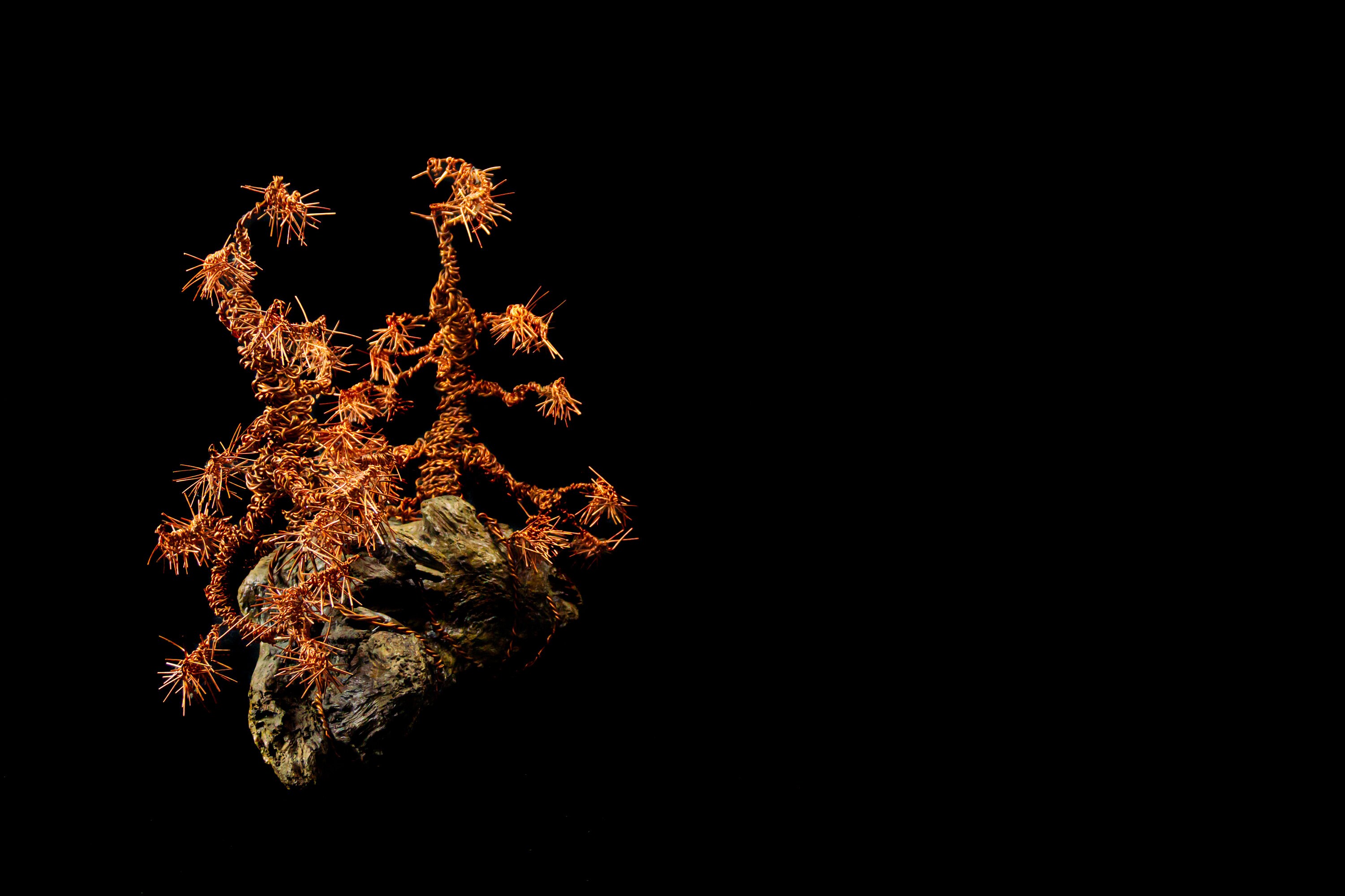 Dancing Joshua Trees Bonsai Copper Tree on Driftwood Etsy UK