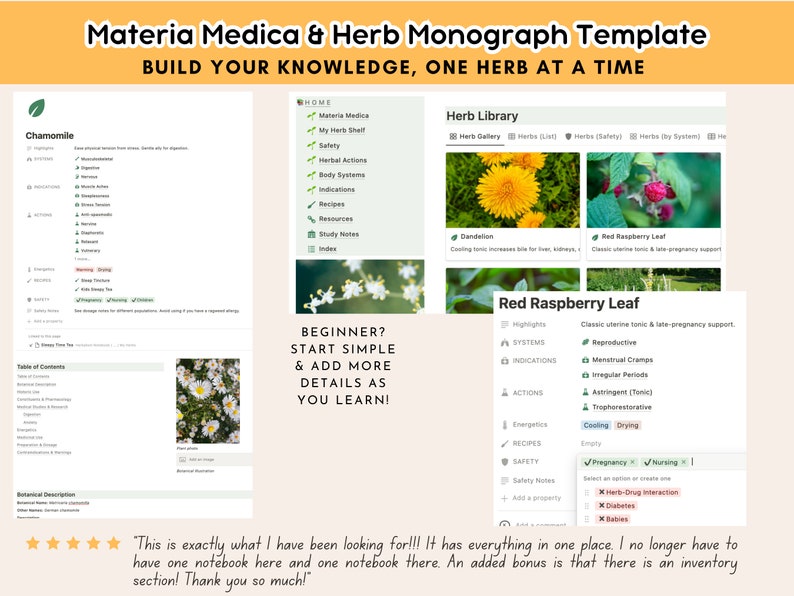 Herbalist Notebook Notion Template Materia Medica perfect Etsy