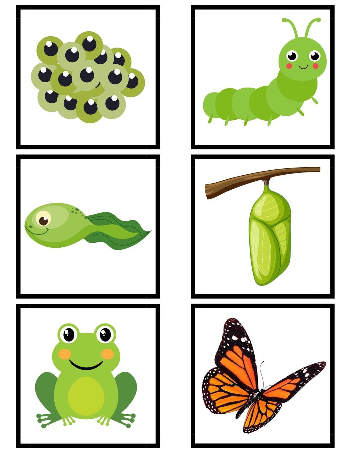 Sequence Cards For Toddlers And Preschoolers Etsy