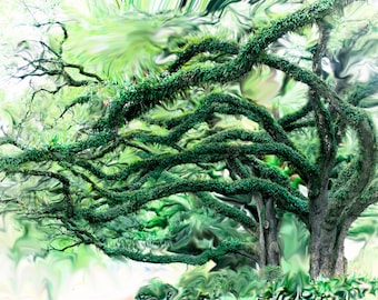 Baton Rouge Live Oak Art Print: Louisiana City Street Photography