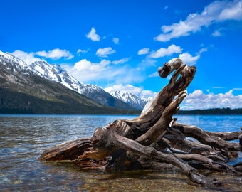 Jenny Lake Print: Grand Teton National Park Wall Art