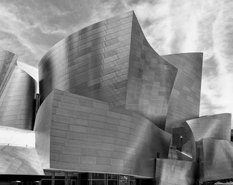 Print Of Walt Disney Concert Hall in Los Angeles California Original Wall Art Print on Archival Paper and Ink