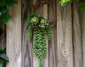 Succulent Moon Wreath