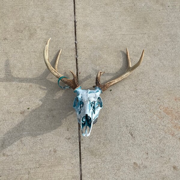 Hydro-dipped DEER SKULL; teal grey gray and white; 1 in stock
