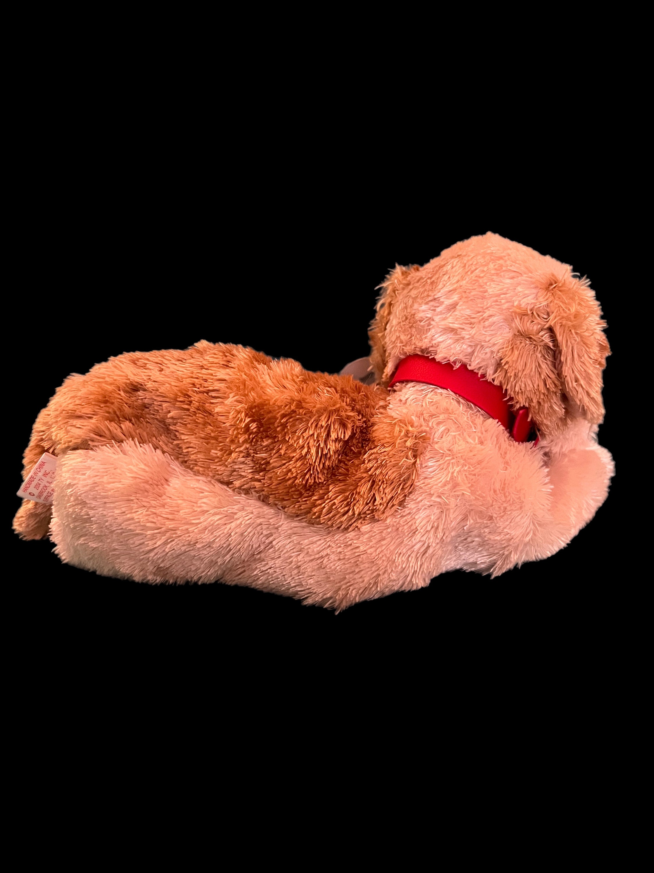 Jouet pour chien Teddy Banjo