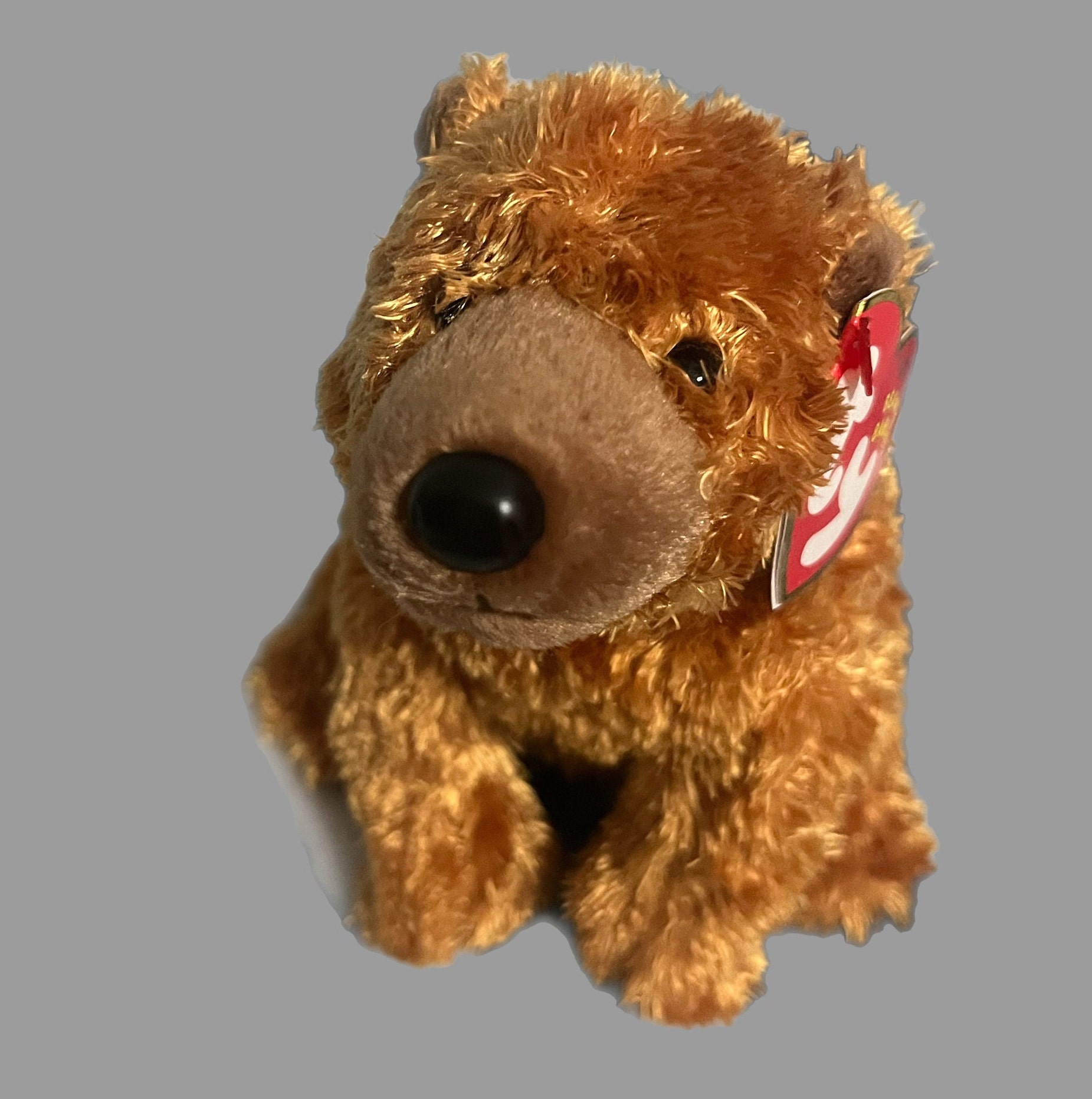 TY Sequoia Bear, Ty Beanie Baby, Original Beanie Babies Collection, Retired, Rare