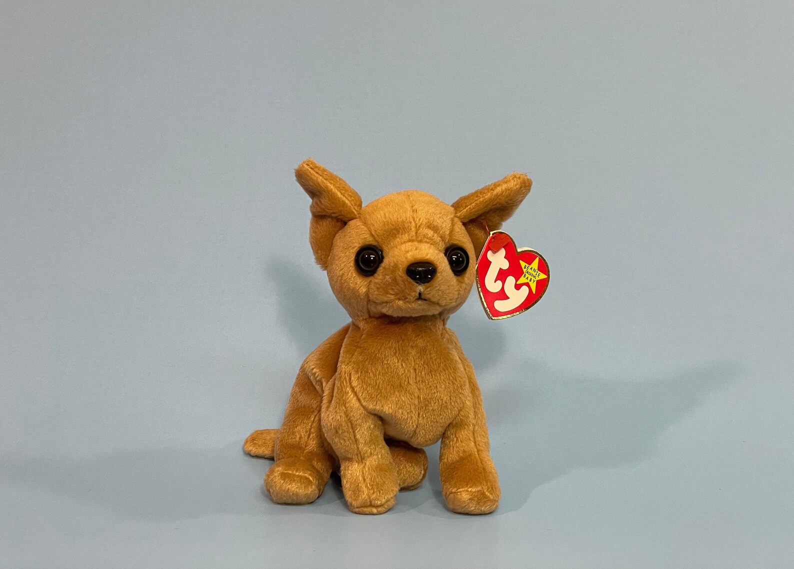 1999 Tiny the Chihuahua Ty Beanie Baby 4234 5th Gen Red | Etsy