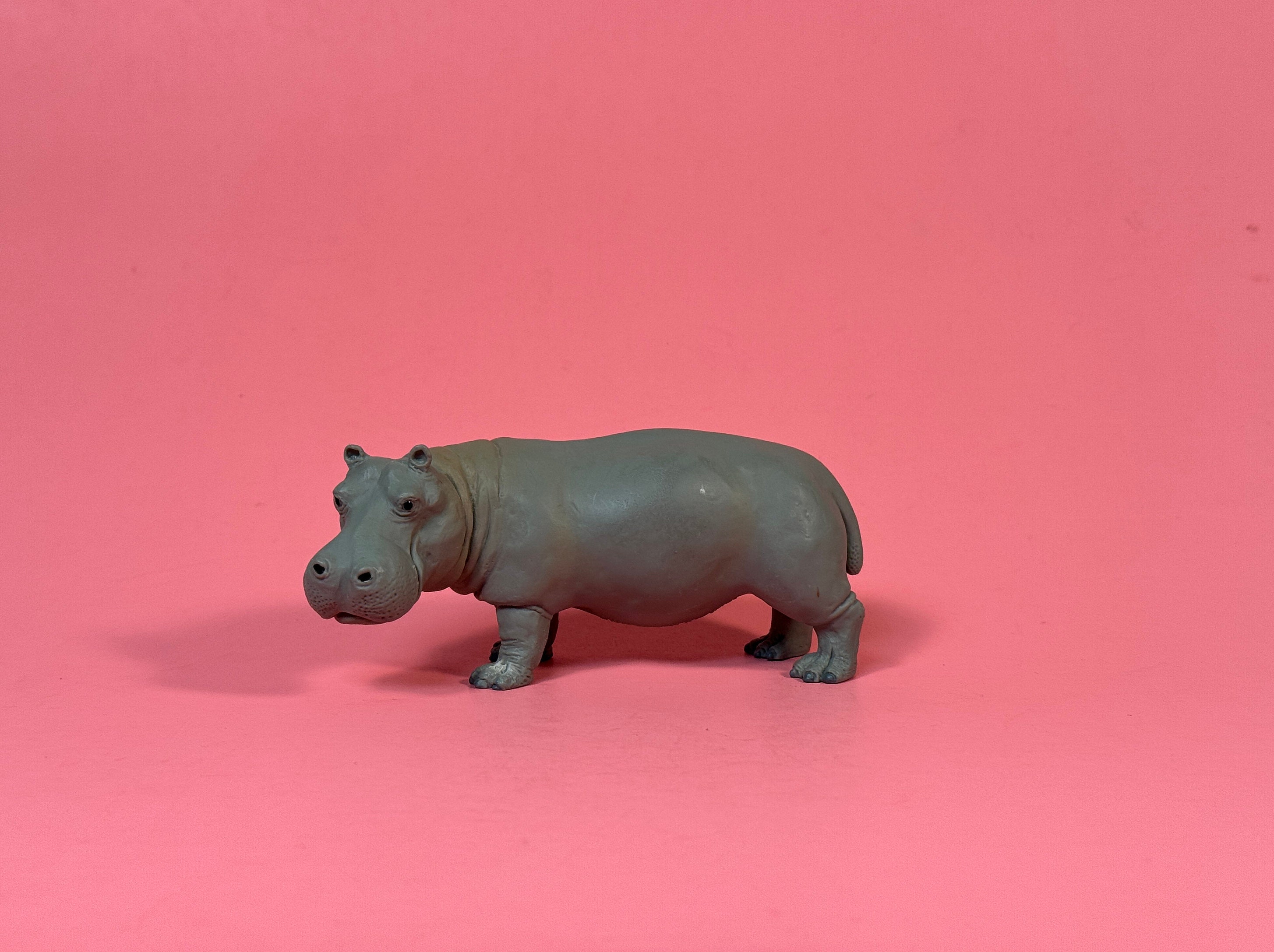 HIPPOさま ① AmiAmi [Character & Hobby Shop] | 1/6 Baby Hippo(Released)