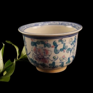 May include: A small, round ceramic bowl with a floral design. The bowl has a white base with pink and blue floral patterns, a blue rim, and a gold-coloured base. A green leafy sprig rests beside the bowl against a black background.