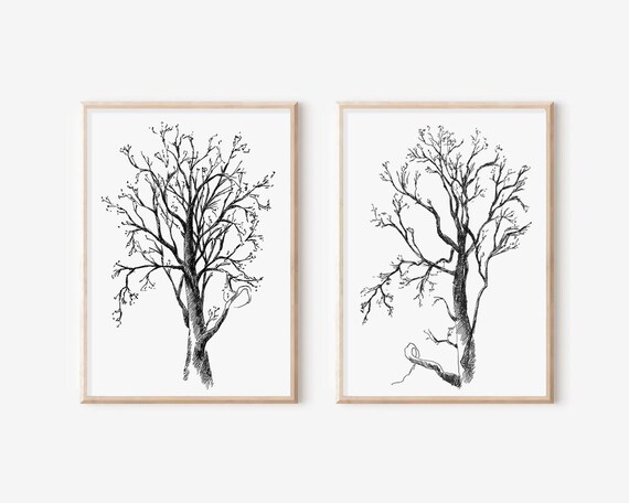Buy Birches Tree Drawing Wall Art Print of Original Oil Painting / Drawing  Online in India - Etsy
