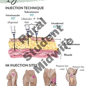 Injection Techniques from the Midwifery Student Additional Care Guide