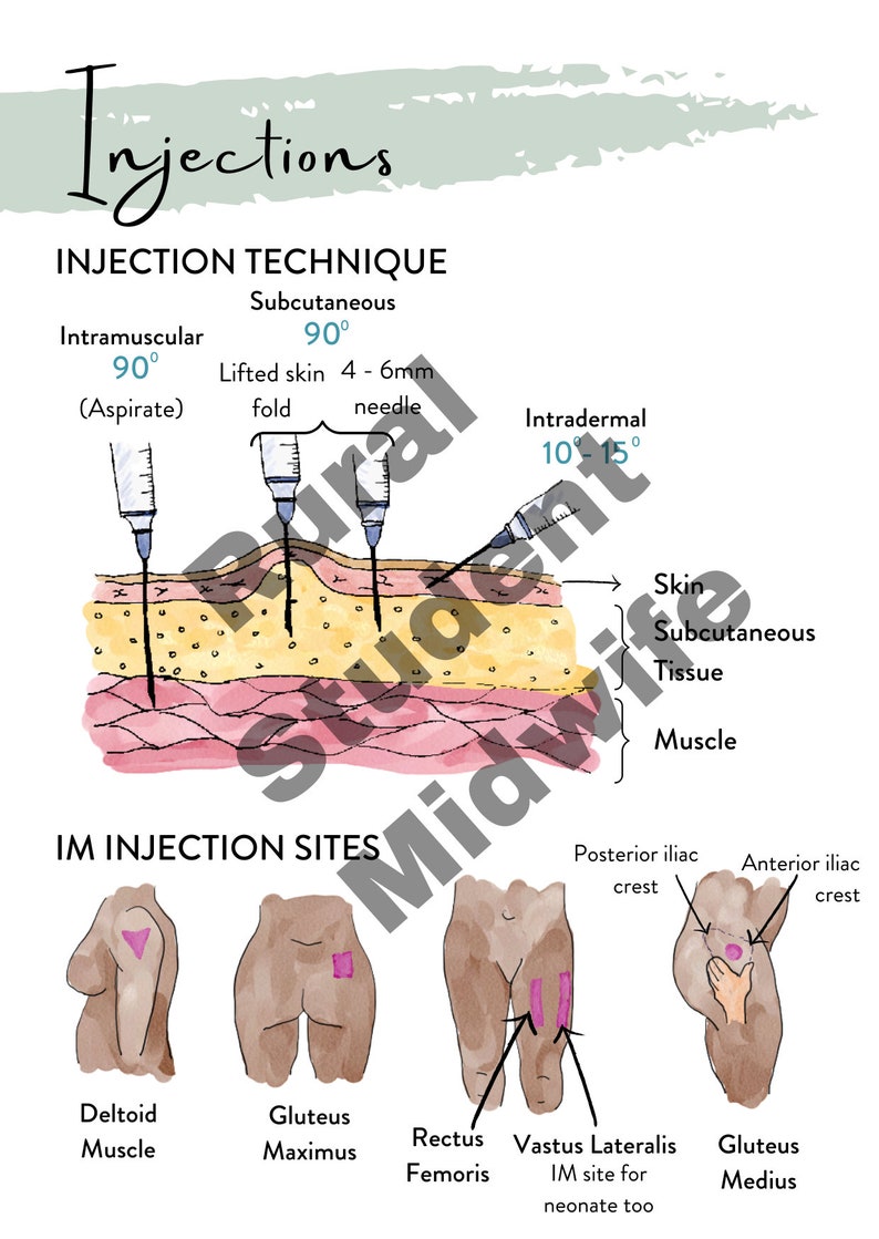 Injection Techniques from the Midwifery Student Additional Care Guide