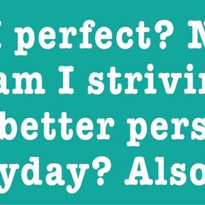 Am I perfect funny bumper sticker