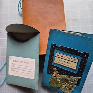 May include: A collection of handmade paper journals and specimen holders. The journals are in shades of brown and blue, with decorative elements like leaves and labels. One journal has the text "NATURAL HISTORY SPECIMENS". Another has the text "FIELD SPECIMEN".